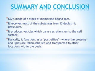 SUMMARY AND CONCLUSION
* GA is made of a stack of membrane bound sacs.
* It receives most of the substances from Endoplasmic
Reticulum.

* It produces vesicles which carry secretions on to the cell
surface.

* Basically, it functions as a “post office”- where the proteins
and lipids are taken,labelled and transported to other
locations within the body.

 