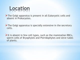The Golgi apparatus is present in all Eukaryotic cells and
absent in Prokaryotes.

The Golgi apparatus is specially extensive in the secretory
cells.

It is absent in few cell types, such as the mammalian RBCs,

sperm cells of Bryophytes and Pteridophytes and sieve tubes
of plants.

 