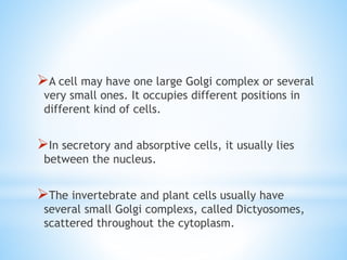 A cell may have one large Golgi complex or several
very small ones. It occupies different positions in
different kind of cells.

In secretory and absorptive cells, it usually lies
between the nucleus.

The invertebrate and plant cells usually have

several small Golgi complexs, called Dictyosomes,
scattered throughout the cytoplasm.

 