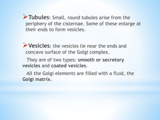 Tubules: Small, round tubules arise from the

periphery of the cisternae. Some of these enlarge at
their ends to form vesicles.

Vesicles: the vesicles lie near the ends and
concave surface of the Golgi complex.

They are of two types: smooth or secretory
vesicles and coated vesicles.
All the Golgi elements are filled with a fluid, the
Golgi matrix.

 