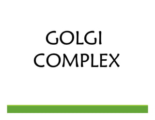 GOLGI
GOLGI
GOLGI
GOLGI
COMPLEX
COMPLEX
COMPLEX
COMPLEX
 