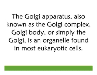 The Golgi apparatus
Golgi apparatus
Golgi apparatus
Golgi apparatus, also
known as the Golgi complex
Golgi complex
Golgi c...