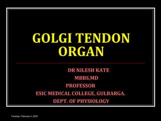 GOLGI TENDON
ORGAN
DR NILESH KATE
MBBS,MD
PROFESSOR
ESIC MEDICAL COLLEGE, GULBARGA.
DEPT. OF PHYSIOLOGY
Tuesday, February 4, 2020
 