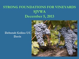 STRONG FOUNDATIONS FOR VINEYARDS

SJVWA
December 5, 2013

Deborah Golino UC
Davis

 