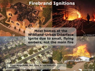 UNDERSTANDING WILDLAND FIRES:
Firebrand Ignitions
Luis Hidalgo/AP
Union Tribune
Most homes at the
Wildland-Urban Interface
ignite due to small, flying
embers, not the main fire
Maranghides, Mell, 2009, A Case Study of a
Community
Affected by the Witch and Guejito Fires (NIST TN
 