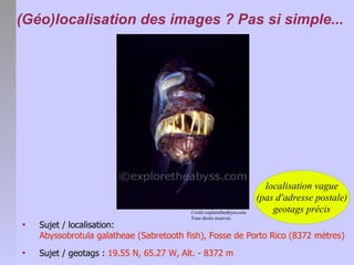 Géolocalisation des images numériques