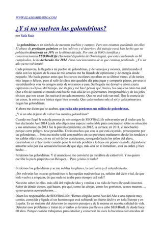 WWW.ELASOMBRARIO.COM
¿Y si no vuelven las golondrinas?
por Rafa Ruiz
la golondrina es un símbolo de nuestros pueblos y campos. Pero nos estamos quedando sin ellas.
El abuso de productos químicos en los cultivos y el deterioro del paisaje rural han hecho que su
población descienda un 30% en la última década. Por eso, la ONG científica y
conservacionista SEO/BirdLife (Sociedad Española de Ornitología), que está celebrando su 60
cumpleaños, la ha declarado Ave 2014. Para concienciarnos de lo que estamos perdiendo. ¿Y si un
año ya no volvieran?
Cada primavera, la llegada a mi pueblo de golondrinas, y de vencejos y aviones, entrelazando el
cielo con los tejados de la casa de mis abuelos me ha llenado de optimismo y de energía desde
pequeño. Me hacía pensar antes que los cursos escolares entraban en su último tramo, el de tardes
más largas y felices, pues al salir de clase aún quedaba día para jugar y compartir planes, paveces e
incertidumbres con los amigos antes de retirarnos a casa. Su llegada me devuelve ahora cierta
esperanza en el paso del tiempo, me alegra y me hace pensar que, bueno, las cosas no están tan mal.
Que a fin de cuentas el mundo está hecho más allá de los gobernantes irresponsables y de los jefes
tóxicos que nos tocan (las narices) en cada momento. Que no está todo tan mal. Que la esencia de
las cosas, la estructura básica sigue bien armada. Que cada mañana sale el sol y cada primavera
llegan las golondrinas.
Y ahora me dicen que se acaban, que cada año perdemos un millón de golondrinas.
¿Y si un año dejaran de volver las oscuras golondrinas?
Cuando me llegó la nota de prensa de mis amigos de SEO/BirdLife subrayando en el titular que la
han declarado Ave 2014 (cada año eligen una especie vulnerable para concienciar sobre su situación
y sus amenazas; en 2013 fue la parcela cenicienta; en 2012, la carraca; en 2011, el mochuelo)
porque corre peligro, tuve pesadillas. Dirán muchos que con la que está cayendo, preocuparme por
las golondrinas… Pero esa noche soñé con pueblos sin sus parloteos mañaneros desde los tendales o
los cables eléctricos, sin su uit uit de los atardeceres, navegando hacia los nidos del alero,
cruzándose en el horizonte cuando poso la mirada perdida a lo lejos sin pensar en nada, dejándome
arrastrar solo por esa sensación/ilusión de que algo, más allá de lo inmediato, está en orden y bien
hecho…
Perdemos las golondrinas. Y el anuncio se me convierte en metáfora de catástrofe. Y no quiero
escribir la pieza pizpireta con Bécquer… Pero ¿cómo evitarlo?
Perdemos las golondrinas y se me nublan los planes, la confianza y el entendimiento.
¿No volverán las oscuras golondrinas ni las tupidas madreselvas ya, señales del ciclo vital, de que
todo vuelve a empezar, de que nada se acaba para siempre del todo?
Necesito saber de ellas, más allá del trajín de idas y venidas a su nido de barro llevando insectos.
Saber de dónde vienen, qué hacen, por qué, como las abejas, como los gorriones, se nos mueren…,
ya no quieren acompañarnos…
Dicen los responsables de SEO/BirdLife: “Hemos elegido como Ave del Año a una especie muy
común, conocida y ligada al ser humano que está sufriendo un fuerte declive en toda Europa y en
España. Es un síntoma del deterioro de nuestros paisajes y de la merma en nuestra calidad de vida.
Detectar esos problemas y tratar de evitarlos es la tarea que lleva a cabo SEO/BirdLife desde hace
60 años. Porque cuando trabajamos para estudiar y conservar las aves lo hacemos convencidos de
 