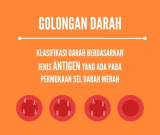 Golongan Darah Mempengaruhi Kepribadian?