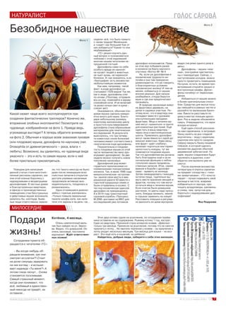 7№ 21 (111) 3 ноября 2016 г.
Безобидное нашествие
Какой сюжет чаще всего эксплуатируется при
создании фантастических триллеров? Конечно же,
вторжение злобных инопланетян! Посмотрите на
чудовище, изображённое на фото 1. Правда ведь,
угрожающе выглядит? А теперь обратите внимание
на фото 2. Обычная и хорошо всем знакомая луковая
(или плодовая) мушка, дрозофила по-научному (лат.
Drosophila от древнегреческого – роса, влага +
любить). Возможно, вы удивитесь, но чудовище вида
ужасного – это и есть та самая мушка, если к ней
более пристально присмотреться.
МИЛОСЕРДИЕ
Подари
жизнь!
Котёнок, 4 месяца.
Очень симпатичный маль-
чик был найден на ул. Зерно-
ва. Видно, что домашний. Он
очень ласковый, постоянно
мурлыкает. Ждёт ответствен-
ных хозяев!
Этих двух котеек сдали на усыпление, но сотрудники приём-
ника оставили их на содержание. Рыжему котику 1 год, кастрат.
Сдан из квартиры. Причиной стала аллергия хозяев. «Девочке» -
только три месяца. Принесли на усыпление, потому что не смогли
приучить к лотку… Не хватило терпения у хозяев – на приучение к
лотку уходит несколько месяцев. Три месяца для кошки – не воз-
раст. Это ещё хоть и кошачий, но ребёнок!
Найдитесь, добрые люди, заберите к себе этих милашек.
Поводом для написания
данной статьи стали многочис-
ленные рассказы саровчан, как
они этой осенью боролись с
надоедливыми и вездесущими
дрозофилами. В частных домах
и благоустроенных квартирах,
в офисах и производственных
помещениях стаи бесстрашных
и увёртливых мушек возникали,
казалось бы, ниоткуда. Быва-
лые люди ответственно заявля-
ли, что такого никогда не было:
даже после ликвидации всех
съестных запасов в открытом
доступе упрямые насекомые
продолжали активную жиз-
недеятельность, плодились и
размножались.
Одна отчаявшаяся домохо-
зяйка с горечью жаловалась:
«Только помыла зеркальные
панели шкафа-купе, как нале-
тели эти заразы и за день «за…
сидели» всё, что было помыто
с таким трудом! Маленькие,
а «сидят» как большие! Как от
них избавиться? Какие-то они
неубиваемые!»
«ГС» решил изучить дан-
ный вопрос и познакомиться
поближе с этой надоевшей
многим нашим читателям не-
прошенной гостьей.
Дрозофилы сами по себе
особого вреда не наносят:
не кусают людей и животных,
не пьют кровь, не переносят
болезни. И, как оказалось, в их
«биографии» есть множество
любопытнейших моментов.
Как вам, например, такой
факт: в роде дрозофил на-
считывают 1529 видов! Так же,
как и люди, дрозофилы спят
по ночам. (Поэтому, отправля-
ясь ко сну, пожелайте и мухам
спокойной ночи. И не включай-
те резко ночью свет в кухне –
слепит же!)
Оказывается, обычная пло-
довая мушка сделала неверо-
ятно много для науки. Благо-
даря небольшому размеру,
короткому жизненному циклу
и простоте культивирования
дрозофила стала образцовым
материалом для генетических
исследований. В результате
выяснилось, что три четвер-
ти известных генов болезней
человека имеют соответствие в
генетическом коде дрозофилы.
Поразительна и плодови-
тость плодовых мушек (в этой
части человечество явно про-
игрывает дрозофиле). За две
недели можно получить новое
поколение насекомых.
Дрозофилий род может
гордиться героическими со-
племенниками-покорителями
космоса. Так, в июле 1946 года
микроскопические «астронав-
ты» заняли свои места в аме-
риканской ракете V2 вместе с
горсткой кукурузных семян и
были отправлены в космос. С
тех пор космическая одиссея
дрозофил не прекращалась.
А в 2014 году транспортный
грузовой корабль «Прогресс
М 25М» доставил на МКС для
исследований уже потомков
дрозофил-космонавтов. Пред-
ки этих мух побывали ранее
в космосе на борту научного
спутника «Фотон-М» № 4.
Ну, если уж дрозофилам и
космические трудности ни-
почём и они там прекрасно
размножаются, что уж говорить
о благоприятных условиях
человеческих жилищ! И тем не
менее, избавиться от мушек
вполне реально. Для начала
разберёмся, откуда берутся
мухи и где они предпочитают
проживать.
В природе насекомые живут
на фруктовых деревьях, на
дачах и садовых участках. По-
этому ясно, что в квартиру они
попадают вместе с урожаем
или купленными овощами-
фруктами. Яйца и личинки му-
шек могут «храниться» в грунте
для комнатных растений. Ещё
один путь в вашу квартиру –
через окна и вентиляционные
шахты. Привлекать дрозофил
могут также ёмкости с едой до-
машних животных. Едва овощ
или фрукт «даёт слабину»,
начинает портиться или теряет
целостность кожуры, тут же
появляется плодовая мушка.
Так что дрозофилам мы должны
быть благодарны ещё и за их
сигнальную функцию о небла-
гополучии наших продоволь-
ственных запасов. Итак, самое
важное в борьбе с дрозофи-
лами – выявить их жилище.
Затем ликвидировать гниющие
остатки пищи, тщательно вы-
мыть места хранения овощей и
фруктов, потому что там могут
остаться яйца и личинки мушек.
Если очагом были домашние
растения, то цветы надо просу-
шить, блюдца промыть, землю
в горшках заменить на новую!
Расставить ловушки и регуляр-
но выносить из дома мусорное
ведро (не реже одного раза в
день).
Дрозофилы – мушки «неж-
ные», они крайне чувствитель-
ны к температуре. Сейчас, с
наступлением холодов, можно
просто проветрить помещение.
На кухне, кстати, во время про-
ветривания откройте заодно и
все кухонные шкафы. Дрозо-
филы погибнут от переохлаж-
дения.
Избавиться от мушек можно
и более оригинальным спосо-
бом. Средство для мытья посу-
ды смешайте в равных частях и
разлейте по маленьким баноч-
кам. Ёмкости расставьте по
дому в местах локации дрозо-
фил. Раз в неделю обновляйте
смесь. Утверждается, что мухи
вскоре исчезнут.
Ещё один способ рассказа-
ла нам саровчанка: в литровую
банку налить на дно сладкой
вкуснятины – воду с вареньем,
сиропом или просто сахаром.
Сверху накрыть банку пищевой
плёнкой, в которой сделать
множество дырочек обычной
деревянной зубочисткой. По
идее, мушки-сладкоежки будут
пролезать в дырочки, а вот
обратно они вылезти уже не
смогут.
После изучения множества
литературы и опроса саровчан
на предмет соседства с «тихи-
ми захватчиками», «ГС» конста-
тирует – лучше содержать своё
жилище в чистоте, вовремя
избавляться от мусора, про-
чищать воздуховоды, раковины
и сливы, чем, запустив дом,
бороться с надоедливыми дро-
зофилами!
Яна Подузова
Сотрудники приюта об-
ращаются к читателям «ГС»:
– Вы когда-нибудь об-
ращали внимание, как они
смотрят из клетки?! Стоит
на долю секунды задержать
на них взгляд – и вспыхи-
вает надежда «Ты меня?» А
потом глаза гаснут… Снова
становятся тоскливыми.
Самый страшный момент,
когда они понимают, что
всё, любимый и единствен-
ный никогда не придёт, их
оставили...
Фото 1
Фото 2
 