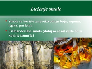 Lučenje smole

Smole se koriste za proizvodnju boja, sapuna,
lepka, parfema

Ćilibar-fosilna smola (dobijao se od vrste bora
koja je izumrla)
 