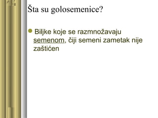 Šta su golosemenice?
Biljke koje se razmnožavaju
semenom, čiji semeni zametak nije
zaštićen
 