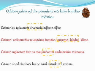 Odaberi jednu od dve ponuđene reči kako bi dobio tačnu
rečenicu
Četinari su uglavnom drvenaste/zeljaste biljke.
Četinari većinom žive u uslovima tropske /umerene i hladne klime.
Četinari uglavnom žive na manjim/većim nadmorskim visinama.
Četinari se od hladnoće brane širokim/uskim listovima.
 