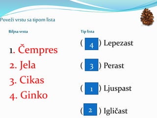 Poveživrstu sa tipom lista
Biljna vrsta Tip lista
1. Čempres
2. Jela
3. Cikas
4. Ginko
( ) Lepezast
( ) Perast
( ) Ljuspast
( ) Igličast
1
2
3
4
 