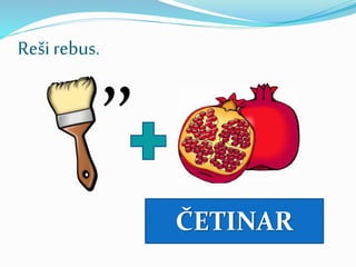 Reši rebus.
’’
ČETINAR
 