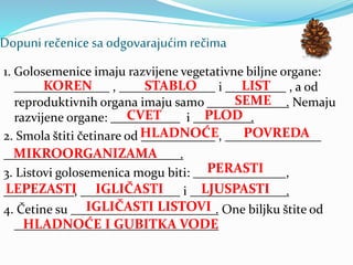 Dopuni rečenice sa odgovarajućimrečima
1. Golosemenice imaju razvijene vegetativne biljne organe:
, i , a od
reproduktivnih organa imaju samo . Nemaju
razvijene organe: i .
2. Smola štiti četinare od ,
.
3. Listovi golosemenica mogu biti: ,
, i .
4. Četine su . One biljku štite od
.
KOREN STABLO LIST
SEME
CVET PLOD
HLADNOĆE
MIKROORGANIZAMA
PERASTI
LEPEZASTI IGLIČASTI LJUSPASTI
IGLIČASTI LISTOVI
HLADNOĆE I GUBITKA VODE
POVREDA
 