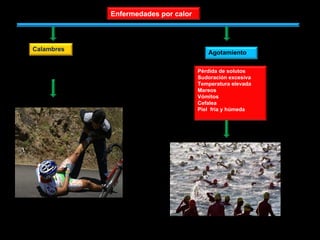 Enfermedades por calor  Pérdida de solutos Sudoración excesiva Temperatura elevada Mareos  Vómitos Cefalea Piel  fría y húmeda Calambres   Agotamiento  
