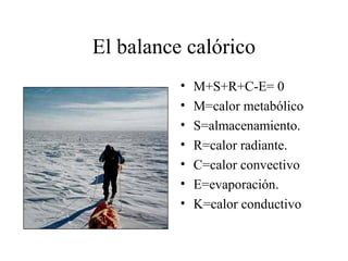 El balance calórico
          •   M+S+R+C-E= 0
          •   M=calor metabólico
          •   S=almacenamiento.
          •   R=calor radiante.
          •   C=calor convectivo
          •   E=evaporación.
          •   K=calor conductivo
 