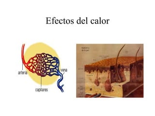 Efectos del calor
 