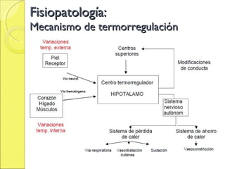 Fisiopatología:
Mecanismo de termorregulación
 