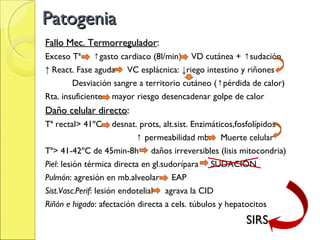 Patogenia
Fallo Mec. Termorregulador:
           Termorregulador
Exceso Tª ↑gasto cardiaco (8l/min) VD cutánea + ↑sudación
↑ React. Fase aguda VC esplácnica: ↓riego intestino y riñones
        Desviación sangre a territorio cutáneo (↑pérdida de calor)
Rta. insuficiente mayor riesgo desencadenar golpe de calor
Daño celular directo:
Tª rectal> 41ºC       desnat. prots, alt.sist. Enzimáticos,fosfolípidos
                            ↑ permeabilidad mb. Muerte celular
Tª> 41-42ºC de 45min-8h daños irreversibles (lisis mitocondria)
Piel: lesión térmica directa en gl.sudorípara SUDACIÓN
Pulmón: agresión en mb.alveolar EAP
Sist.Vasc.Perif: lesión endotelial agrava la CID
Riñón e higado: afectación directa a cels. túbulos y hepatocitos
                                                           SIRS
 