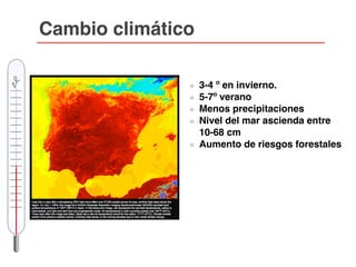 3-4 º en invierno.
5-7º verano
Menos precipitaciones
Nivel del mar ascienda entre
10-68 cm
Aumento de riesgos forestales
Cambio climático
 