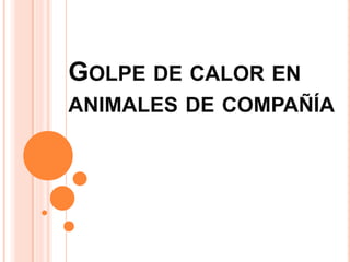 GOLPE DE CALOR EN
ANIMALES DE COMPAÑÍA
 