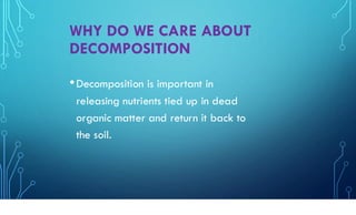 Organic matter decomposition in soil microbiology | PDF