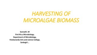 HARVESTING OF
MICROALGAE BIOMASS
Gomathi .M
First M.sc.Microbiology,
Department of Microbiology,
Vivekananda Arts and science College,
Sankagiri ..
 