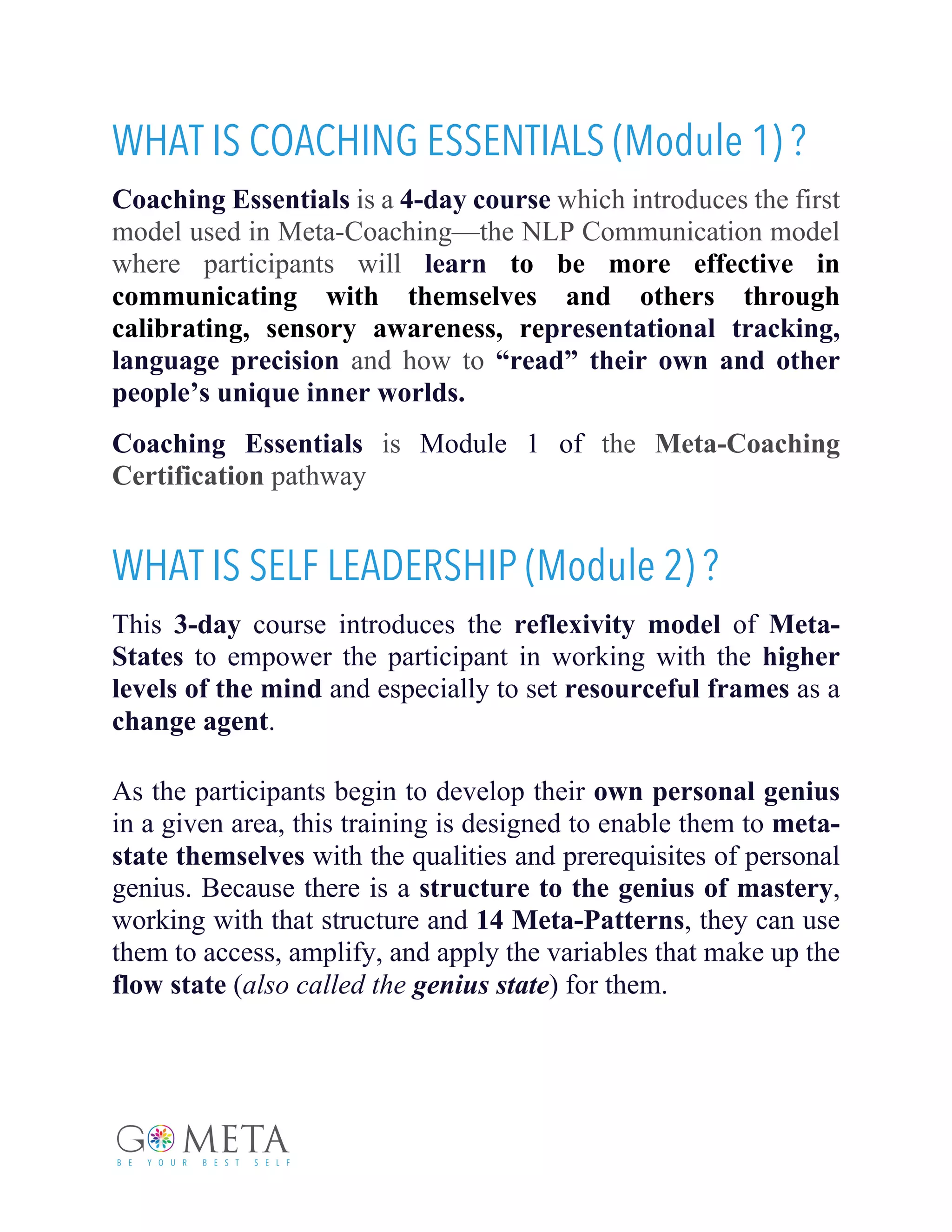 Self Leadership | PDF