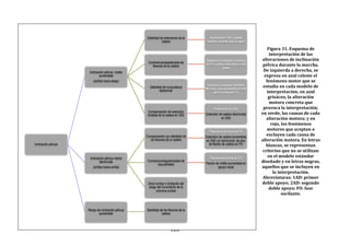 120
Figura 31. Esquema de
interpretación de las
alteraciones de inclinación
pélvica durante la marcha.
De izquierda a derecha, se
expresa en azul celeste el
fenómeno motor que se
estudia en cada modelo de
interpretación; en azul
grisáceo, la alteración
motora concreta que
provoca la interpretación;
en verde, las causas de cada
alteración motora; y en
rojo, los fenómenos
motores que aceptan o
excluyen cada causa de
alteración motora. En letras
blancas, se representan
criterios que no se utilizan
en el modelo estándar
diseñado y en letras negras,
aquellos que se incluyen en
la interpretación.
Abreviaturas: 1AD: primer
doble apoyo; 2AD: segundo
doble apoyo; FO: fase
oscilante.
Inclinación pélvica
Inclinación pélvica media
aumentada
(sinfisis hacia abajo)
Debilidad de extensores de la
cadera
Aumenta en 1AD y puede
persistir durante todo el apyo
Contractura/espasticidad de
flexores de la cadera
Aparece en cualquier momento
de FA; cuanto más precoz, más
grave
Debilidad de musculatura
abdominal
Ocurre en cualquier momento
del ciclo (más susceptible al final
de FA o final de FO)
Compensación de extensión
limitada de la cadera en 2AD
Predominio en 2AD
Extensión de cadera disminuida
en 2AD
Inclinación pélvica media
disminuida
(sínfisis hacia arriba)
Compensación por debilidad de
los flexores de la cadera
Predominio al inicio de FO
Extensión de cadera aumentada
en 2AD y/o dsminución de pico
de flexión de cadera en FO
Contractura/espasticaidad de
isquiotibiales
Predominio al final de FO
Flexión de rodilla aumentada en
apoyo inicial
Dolor lumbar o limitación del
rango del movimiento de la
columna lumbar
Rango de inclinación pélvica
aumentado
Debilidad de los flexores de la
cadera
 