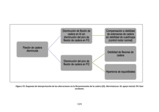 124
Figura 35. Esquema de interpretación de las alteraciones en la flexoextensión de la cadera (II). Abreviaturas: AI: apoyo inicial. FO: fase
oscilante.
Flexión de cadera
disminuida
Disminución de flexión de
cadera en AI sin
disminución del pico de
flexión de cadera en FO
Compensación a debilidad
de extensores de cadera
sin debilidad de cuádriceps
(control motor normal)
Disminución del pico de
flexión de cadera en FO
Debilidad de flexores de
cadera
Hipertonía de isquiotibiales
 