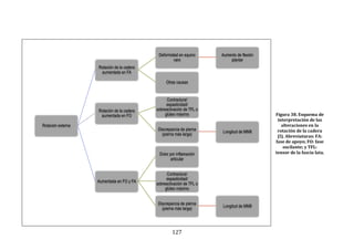 127
Figura 38. Esquema de
interpretación de las
alteraciones en la
rotación de la cadera
(I). Abreviaturas: FA:
fase de apoyo; FO: fase
oscilante; y TFL:
tensor de la fascia lata.
Rotación externa
Rotación de la cadera
aumentada en FA
Deformidad en equino
varo
Aumento de flexión
plantar
Otras causas
Rotación de la cadera
aumentada en FO
Contractura/
espasticidad/
sobreactivación de TFL o
glúteo máximo
Discrepancia de pierna
(pierna más larga)
Longitud de MMII
Aumentada en FO y FA
Dolor por inflamación
articular
Contractura/
espasticidad/
sobreactivación de TFL o
glúteo máximo
Discrepancia de pierna
(pierna más larga)
Longitud de MMII
 