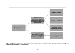 131
Figura 42. Esquema de interpretación de las alteraciones de los movimientos del tobillo en el plano sagital (I). Abreviaturas: 1AD: primer
doble apoyo; AU: apoyo único y FO: fase oscilante.
Flexión plantar excesiva
1AD + AU con FO
(flexión media en 1AD y flexión
media AU disminuidas con flexión
del tobillo en el pico de flexión de
rodilla disminuida)
Debilidad de dorsilfexores
Contractura en flexión plantar
Espasticidad o actividad
inadecuada de tríceps sural
1AD + AU
(flexión media en 1AD y flexión
media AU disminuidas sin flexión
del tobillo en el pico de flexión de
rodilla disminuida)
Compensación por cuádriceps
débil
 