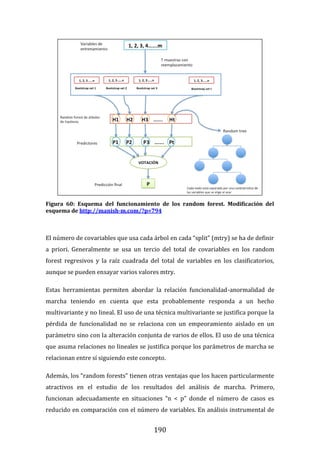 190
Figura 60: Esquema del funcionamiento de los random forest. Modificación del
esquema de http://manish-m.com/?p=794
El número de covariables que usa cada árbol en cada “split” (mtry) se ha de definir
a priori. Generalmente se usa un tercio del total de covariables en los random
forest regresivos y la raíz cuadrada del total de variables en los clasificatorios,
aunque se pueden ensayar varios valores mtry.
Estas herramientas permiten abordar la relación funcionalidad-anormalidad de
marcha teniendo en cuenta que esta probablemente responda a un hecho
multivariante y no lineal. El uso de una técnica multivariante se justifica porque la
pérdida de funcionalidad no se relaciona con un empeoramiento aislado en un
parámetro sino con la alteración conjunta de varios de ellos. El uso de una técnica
que asuma relaciones no lineales se justifica porque los parámetros de marcha se
relacionan entre sí siguiendo este concepto.
Además, los “random forests” tienen otras ventajas que los hacen particularmente
atractivos en el estudio de los resultados del análisis de marcha. Primero,
funcionan adecuadamente en situaciones “n < p” donde el número de casos es
reducido en comparación con el número de variables. En análisis instrumental de
 