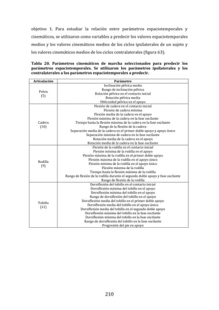 210
objetivo 1. Para estudiar la relación entre parámetros espaciotemporales y
cinemáticos, se utilizaron como variables a predecir los valores espaciotemporales
medios y los valores cinemáticos medios de los ciclos ipsilaterales de un sujeto y
los valores cinemáticos medios de los ciclos contralaterales (figura 63).
Tabla 20. Parámetros cinemáticos de marcha seleccionados para predecir los
parámetros espaciotemporales. Se utilizaron los parámetros ipsilaterales y los
contralaterales a los parámetros espaciotemporales a predecir.
Articulación Parámetro
Pelvis
(5)
Inclinación pélvica media
Rango de inclinación pélvica
Rotación pélvica en el contacto inicial
Rotación pélvica media
Oblicuidad pélvica en el apoyo
Cadera
(10)
Flexión de cadera en el contacto inicial
Flexión de cadera mínima
Flexión media de la cadera en el apoyo
Flexión máxima de la cadera en la fase oscilante
Tiempo hasta la flexión máxima de la cadera en la fase oscilante
Rango de la flexión de la cadera
Separación media de la cadera en el primer doble apoyo y apoyo único
Separación máxima de cadera en la fase oscilante
Rotación media de la cadera en el apoyo
Rotación media de la cadera en la fase oscilante
Rodilla
(9)
Flexión de la rodilla en el contacto inicial
Flexión mínima de la rodilla en el apoyo
Flexión máxima de la rodilla en el primer doble apoyo
Flexión máxima de la rodilla en el apoyo único
Flexión mínima de la rodilla en el apoyo único
Flexión máxima de la rodilla
Tiempo hasta la flexión máxima de la rodilla
Rango de flexión de la rodilla durante el segundo doble apoyo y fase oscilante
Rango de flexión de la rodilla
Tobillo
(11)
Dorsiflexión del tobillo en el contacto inicial
Dorsiflexión máxima del tobillo en el apoyo
Dorsiflexión mínima del tobillo en el apoyo
Rango de dorsiflexión del tobillo en el apoyo
Dorsiflexión media del tobillo en el primer doble apoyo
Dorsiflexión media del tobillo en el apoyo único
Dorsiflexión media del tobillo en el segundo doble apoyo
Dorsiflexión máxima del tobillo en la fase oscilante
Dorsiflexión mínima del tobillo en la fase oscilante
Rango de dorsiflexión del tobillo en la fase oscilante
Progresión del pie en apoyo
 