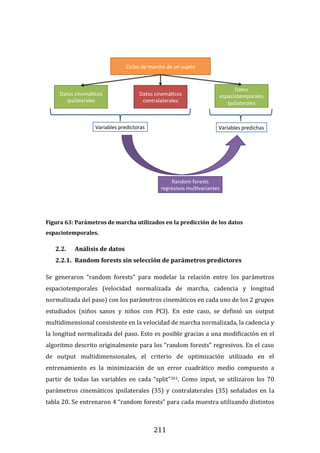 211
Figura 63: Parámetros de marcha utilizados en la predicción de los datos
espaciotemporales.
2.2. Análisis de datos
2.2.1. Random forests sin selección de parámetros predictores
Se generaron “random forests” para modelar la relación entre los parámetros
espaciotemporales (velocidad normalizada de marcha, cadencia y longitud
normalizada del paso) con los parámetros cinemáticos en cada uno de los 2 grupos
estudiados (niños sanos y niños con PCI). En este caso, se definió un output
multidimensional consistente en la velocidad de marcha normalizada, la cadencia y
la longitud normalizada del paso. Esto es posible gracias a una modificación en el
algoritmo descrito originalmente para los “random forests” regresivos. En el caso
de output multidimensionales, el criterio de optimización utilizado en el
entrenamiento es la minimización de un error cuadrático medio compuesto a
partir de todas las variables en cada “split”261. Como input, se utilizaron los 70
parámetros cinemáticos ipsilaterales (35) y contralaterales (35) señalados en la
tabla 20. Se entrenaron 4 “random forests” para cada muestra utilizando distintos
Ciclos de marcha de un sujeto
Datos
espaciotemporales
ipsilaterales
Datos cinemá cos
contralaterales
Datos cinemá cos
ipsilaterales
Variables predictoras Variables predichas
Random forests
regresivos mul variantes
 