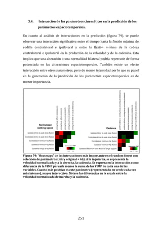 251
3.4. Interacción de los parámetros cinemáticos en la predicción de los
parámetros espaciotemporales.
En cuanto al análisis de interacciones en la predicción (figura 79), se puede
observar una interacción significativa entre el tiempo hasta la flexión máxima de
rodilla contralateral e ipsilateral y entre la flexión mínima de la cadera
contralateral e ipsilateral en la predicción de la velocidad y de la cadencia. Esto
implica que una alteración o una normalidad bilateral podría repercutir de forma
potenciada en las alteraciones espaciotemporales. También existe un efecto
interacción entre otros parámetros, pero de menor intensidad por lo que su papel
en la generación de la predicción de los parámetros espaciotemporales es de
menor importancia.
Figura 79: “Heatmaps” de las interacciones más importante en el random forest con
selección de parámetros (mtry original = 46). A la izquierda, se representa la
velocidad normalizada y a la derecha, la cadencia. Se expresa en la interacción como
diferencia de la VIMP pareada menos la suma de los VIMP de cada una de las
variables. Cuanto más positivo es este parámetro (representado en verde cada vez
más intenso), mayor interacción. Nótese las diferencias en la escala entre la
velocidad normalizada de marcha y la cadencia.
 
