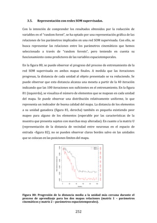252
3.5. Representación con redes SOM supervisadas.
Con la intención de comprender los resultados obtenidos por la reducción de
variables en el “random forest”, se ha optado por una representación gráfica de las
relaciones de los parámetros implicados en una red SOM supervisada. Con ello, se
busca representar las relaciones entre los parámetros cinemáticos que hemos
seleccionado a través de “random forests”, pero teniendo en cuenta su
funcionamiento como predictores de las variables espaciotemporales.
En la figura 80, se puede observar el progreso del proceso de entrenamiento de la
red SOM supervisada en ambos mapas finales. A medida que las iteraciones
progresas, la distancia de cada unidad al objeto presentado se va reduciendo. Se
puede observar que esta distancia alcanza una meseta a partir de la 40 iteración
indicando que las 100 iteraciones son suficientes en el entrenamiento. En la figura
81 (izquierda), se visualiza el número de elementos que se mapean en cada unidad
del mapa. Se puede observar una distribución relativamente uniforme, lo que
representa un indicador de buena calidad del mapa. La distancia de los elementos
a su unidad ganadora (figura 81, derecha) también es pequeña existiendo peor
mapeo para alguno de los elementos (esperable por las características de la
muestra que presenta sujetos con marchas muy alteradas). En cuanto a la matriz U
(representación de la distancia de vecindad entre neuronas en el espacio de
entrada –figura 82), no se pueden observar claros bordes salvo en las unidades
que se colocan en las posiciones límites del mapa.
Figura 80: Progresión de la distancia media a la unidad más cercana durante el
proceso de aprendizaje para los dos mapas relaciones (matriz 1 – parámetros
cinemáticos y matriz 2 – parámetros espaciotemporales).
 