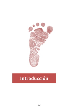 27
Introducción
 