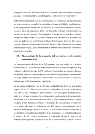 41
una postura que deja a los músculos en acortamiento. Es un fenómeno activo que
aparece de forma secundaria a cambios génicos en los tejidos involucrados55.
De los cambios secundarios, el más importante es la contractura que se caracteriza
por el acortamiento muscular, la reducción de la extensibilidad y modificaciones
en las propiedades contráctiles del músculo. La contractura emerge de manera
precoz y altera el crecimiento óseo y el desarrollo articular a largo plazo56. La
contractura es el elemento fisiopatológico principal de lo que los cirujanos
ortopédicos especialistas en parálisis cerebral han denominado “trastorno del
brazo de palanca”. La contractura produce deformidades óseas en los huesos
largos y en las articulaciones (torsiones en fémur o tibia, subluxación de caderas,
deformidades del pie,…) que distorsionan la contribución al momento articular de
los distintos músculos.
2.5. Fisiopatología de la alteración del movimiento en la parálisis
cerebral infantil.
Las manifestaciones clínicas de la PCI aparecen por una lesión en el sistema
nervioso central. Las lesiones estructurales observables por neuroimagen son muy
variables en función del tipo de PCI y del nivel funcional de las mismas57. Pueden
aparecer en una o en varias estructuras pero las lesiones provocan consecuencias
a lo largo de todo el sistema motor alterando no sólo el desarrollo de la estructura
afectada sino la del sistema motor en general.
En las formas espásticas y en las formas combinadas (es decir, en una amplia
mayoría de las PCI), la principal estructura lesionada es el tracto corticoespinal
(TCS). El TCS está formado por proyecciones a la médula espinal desde la corteza
motora, la corteza premotora, la corteza motora suplementaria, áreas parietales
posteriores, el área somatosensorial secundaria, áreas motoras del surco cingular
y la parte caudal de la ínsula. Aunque el desarrollo del TCS comienza precozmente
en el desarrollo fetal, la maduración del TCS ocurre postnatalmente con la
selección de las proyecciones más activas. El TCS tiene múltiples funciones en el
control del movimiento como el control de las aferencias a los circuitos medulares,
el control de los reflejos medulares, la excitación directa o indirecta de
motoneuronas espinales, la inhibición de estas motoneuronas y efectos tróficos
 