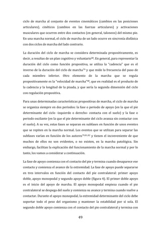 49
ciclo de marcha al conjunto de eventos cinemáticos (cambios en las posiciones
articulares), cinéticos (cambios en las fuerzas articulares) y activaciones
musculares que ocurren entre dos contactos (en general, taloneos) del mismo pie.
En una marcha normal, el ciclo de marcha de un lado ocurre en sincronía disfásica
con dos ciclos de marcha del lado contrario.
La duración del ciclo de marcha se considera determinada propositivamente, es
decir, a resultas de un plan cognitivo y voluntario80. En general, para representar la
duración del ciclo como función propositiva, se utiliza la “cadencia” que es el
inverso de la duración del ciclo de marcha79 y que mide la frecuencia del paso de
cada miembro inferior. Otro elemento de la marcha que se regula
propositivamente es la “velocidad de marcha”80, que en realidad es el producto de
la cadencia y la longitud de la pisada, y que sería la segunda dimensión del ciclo
con regulación propositiva.
Para unas determinadas características propositivas de marcha, el ciclo de marcha
se organiza siempre en dos periodos: la fase o periodo de apoyo (en la que el pie
determinante del ciclo -izquierdo o derecho- contacta con el suelo) y la fase o
periodo oscilante (en la que el pie determinante del ciclo avanza sin contactar con
el suelo). A su vez, estas fases se separan en subfases en función de unos eventos
que se repiten en la marcha normal. Los eventos que se utilizan para separar las
subfases varían en función de los autores79,81,82 y tienen el inconveniente de que
muchos de ellos no son evidentes, o no existen, en la marcha patológica. Sin
embargo, facilitan la explicación del funcionamiento de la marcha normal y por lo
tanto, los vamos a considerar a continuación.
La fase de apoyo comienza con el contacto del pie y termina cuando desaparece ese
contacto y comienza el avance de la extremidad. La fase de apoyo puede separarse
en tres intervalos en función del contacto del pie contralateral: primer apoyo
doble, apoyo monopodal y segundo apoyo doble (figura 4). El primer doble apoyo
es el inicio del apoyo de marcha. El apoyo monopodal empieza cuando el pie
contralateral se despega del suelo y comienza su avance y termina cuando vuelve a
contactar. Durante el apoyo monopodal, la extremidad determinante del ciclo debe
soportar todo el peso del organismo y mantener la estabilidad por sí sola. El
segundo doble apoyo comienza con el contacto del pie contralateral y termina con
 