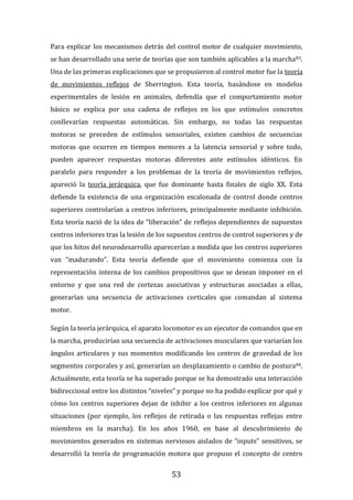 53
Para explicar los mecanismos detrás del control motor de cualquier movimiento,
se han desarrollado una serie de teorías que son también aplicables a la marcha83.
Una de las primeras explicaciones que se propusieron al control motor fue la teoría
de movimientos reflejos de Sherrington. Esta teoría, basándose en modelos
experimentales de lesión en animales, defendía que el comportamiento motor
básico se explica por una cadena de reflejos en los que estímulos concretos
conllevarían respuestas automáticas. Sin embargo, no todas las respuestas
motoras se preceden de estímulos sensoriales, existen cambios de secuencias
motoras que ocurren en tiempos menores a la latencia sensorial y sobre todo,
pueden aparecer respuestas motoras diferentes ante estímulos idénticos. En
paralelo para responder a los problemas de la teoría de movimientos reflejos,
apareció la teoría jerárquica, que fue dominante hasta finales de siglo XX. Esta
defiende la existencia de una organización escalonada de control donde centros
superiores controlarían a centros inferiores, principalmente mediante inhibición.
Esta teoría nació de la idea de “liberación” de reflejos dependientes de supuestos
centros inferiores tras la lesión de los supuestos centros de control superiores y de
que los hitos del neurodesarrollo aparecerían a medida que los centros superiores
van “madurando”. Esta teoría defiende que el movimiento comienza con la
representación interna de los cambios propositivos que se desean imponer en el
entorno y que una red de cortezas asociativas y estructuras asociadas a ellas,
generarían una secuencia de activaciones corticales que comandan al sistema
motor.
Según la teoría jerárquica, el aparato locomotor es un ejecutor de comandos que en
la marcha, producirían una secuencia de activaciones musculares que variarían los
ángulos articulares y sus momentos modificando los centros de gravedad de los
segmentos corporales y así, generarían un desplazamiento o cambio de postura84.
Actualmente, esta teoría se ha superado porque se ha demostrado una interacción
bidireccional entre los distintos “niveles” y porque no ha podido explicar por qué y
cómo los centros superiores dejan de inhibir a los centros inferiores en algunas
situaciones (por ejemplo, los reflejos de retirada o las respuestas reflejas entre
miembros en la marcha). En los años 1960, en base al descubrimiento de
movimientos generados en sistemas nerviosos aislados de “inputs” sensitivos, se
desarrolló la teoría de programación motora que propuso el concepto de centro
 