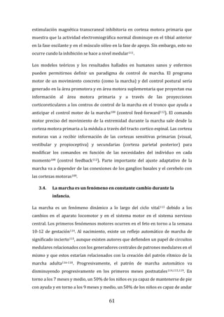 61
estimulación magnética transcraneal inhibitoria en corteza motora primaria que
muestra que la actividad electromiográfica normal disminuye en el tibial anterior
en la fase oscilante y en el músculo sóleo en la fase de apoyo. Sin embargo, esto no
ocurre cundo la inhibición se hace a nivel medular111.
Los modelos teóricos y los resultados hallados en humanos sanos y enfermos
pueden permitirnos definir un paradigma de control de marcha. El programa
motor de un movimiento concreto (como la marcha) y del control postural sería
generado en la área promotora y en área motora suplementaria que proyectan esa
información al área motora primaria y a través de las proyecciones
corticoreticulares a los centros de control de la marcha en el tronco que ayuda a
anticipar el control motor de la marcha100 (control feed-forward112). El comando
motor preciso del movimiento de la extremidad durante la marcha sale desde la
corteza motora primaria a la médula a través del tracto cortico espinal. Las corteza
motoras van a recibir información de las cortezas sensitivas primarias (visual,
vestibular y propioceptiva) y secundarias (corteza parietal posterior) para
modificar los comandos en función de las necesidades del individuo en cada
momento100 (control feedback112). Parte importante del ajuste adaptativo de la
marcha va a depender de las conexiones de los ganglios basales y el cerebelo con
las cortezas motoras100.
3.4. La marcha es un fenómeno en constante cambio durante la
infancia.
La marcha es un fenómeno dinámico a lo largo del ciclo vital113 debido a los
cambios en el aparato locomotor y en el sistema motor en el sistema nervioso
central. Los primeros fenómenos motores ocurren en el feto en torno a la semana
10-12 de gestación114. Al nacimiento, existe un reflejo automático de marcha de
significado incierto115, aunque existen autores que defienden un papel de circuitos
medulares relacionados con los generadores centrales de patrones medulares en el
mismo y que estos estarían relacionados con la creación del patrón rítmico de la
marcha adulta116-118. Progresivamente, el patrón de marcha automático va
disminuyendo progresivamente en los primeros meses postnatales114,115,119. En
torno a los 7 meses y medio, un 50% de los niños es ya capaz de mantenerse de pie
con ayuda y en torno a los 9 meses y medio, un 50% de los niños es capaz de andar
 