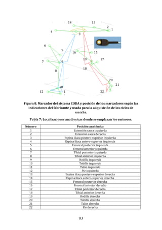 83
Figura 8. Marcador del sistema CODA y posición de los marcadores según las
indicaciones del fabricante y usada para la adquisición de los ciclos de
marcha.
Tabla 7: Localizaciones anatómicas donde se emplazan los emisores.
Número Posición anatómica
1 Extensión sacra izquierda
2 Extensión sacra derecha
3 Espina iliaca postero-superior izquierda
4 Espina iliaca antero-superior izquierda
5 Femoral posterior izquierda
6 Femoral anterior izquierda
7 Tibial posterior izquierda
8 Tibial anterior izquierda
9 Rodilla izquierda
10 Tobillo izquierdo
11 Talón izquierdo
12 Pie izquierdo
13 Espina iliaca postero-superior derecha
14 Espina iliaca antero-superior derecha
15 Femoral posterior derecha
16 Femoral anterior derecha
17 Tibial posterior derecha
18 Tibial anterior derecha
19 Rodilla derecha
20 Tobillo derecha
21 Talón derecha
22 Pie derecha
1
4
3
2
14
19
22
21
13
20
10
1
1
12
8
9
5
6
15
17
16
7
18
 