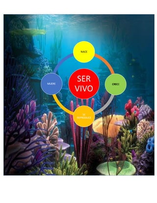 NACE 
SER 
VIVO 
CRECE 
SE 
REPRODUCE 
MUERE 
 