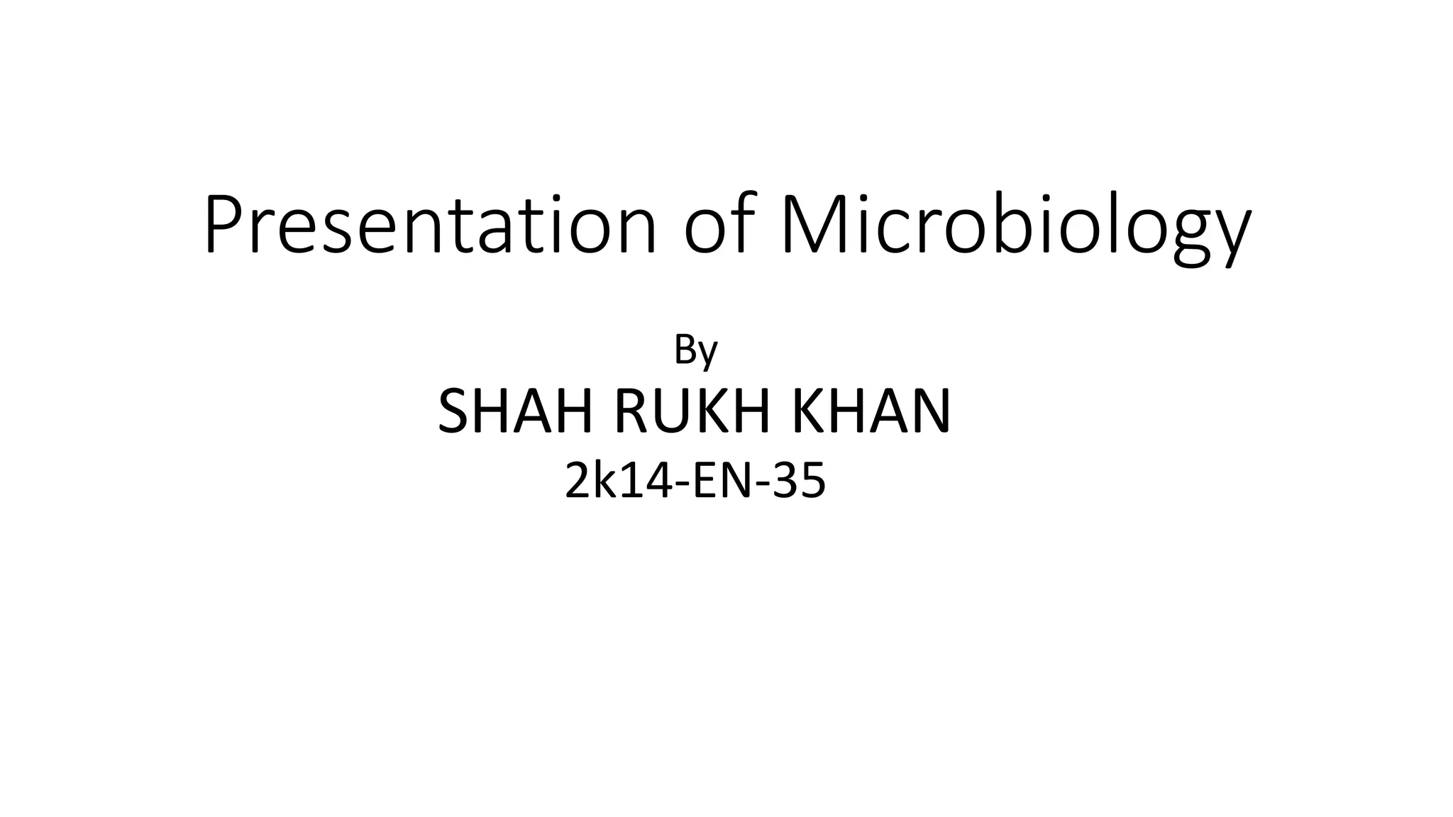 Formation Structure and Internal Functions of Microbial mats And