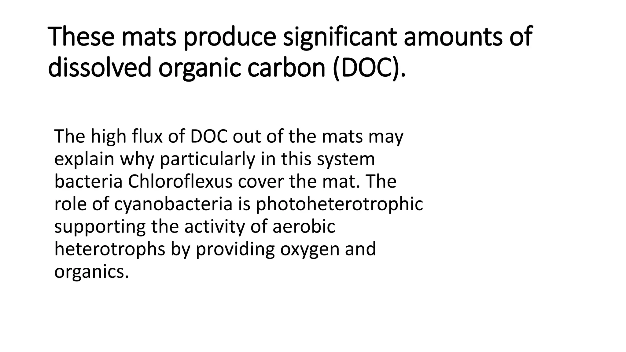 Formation Structure and Internal Functions of Microbial mats And