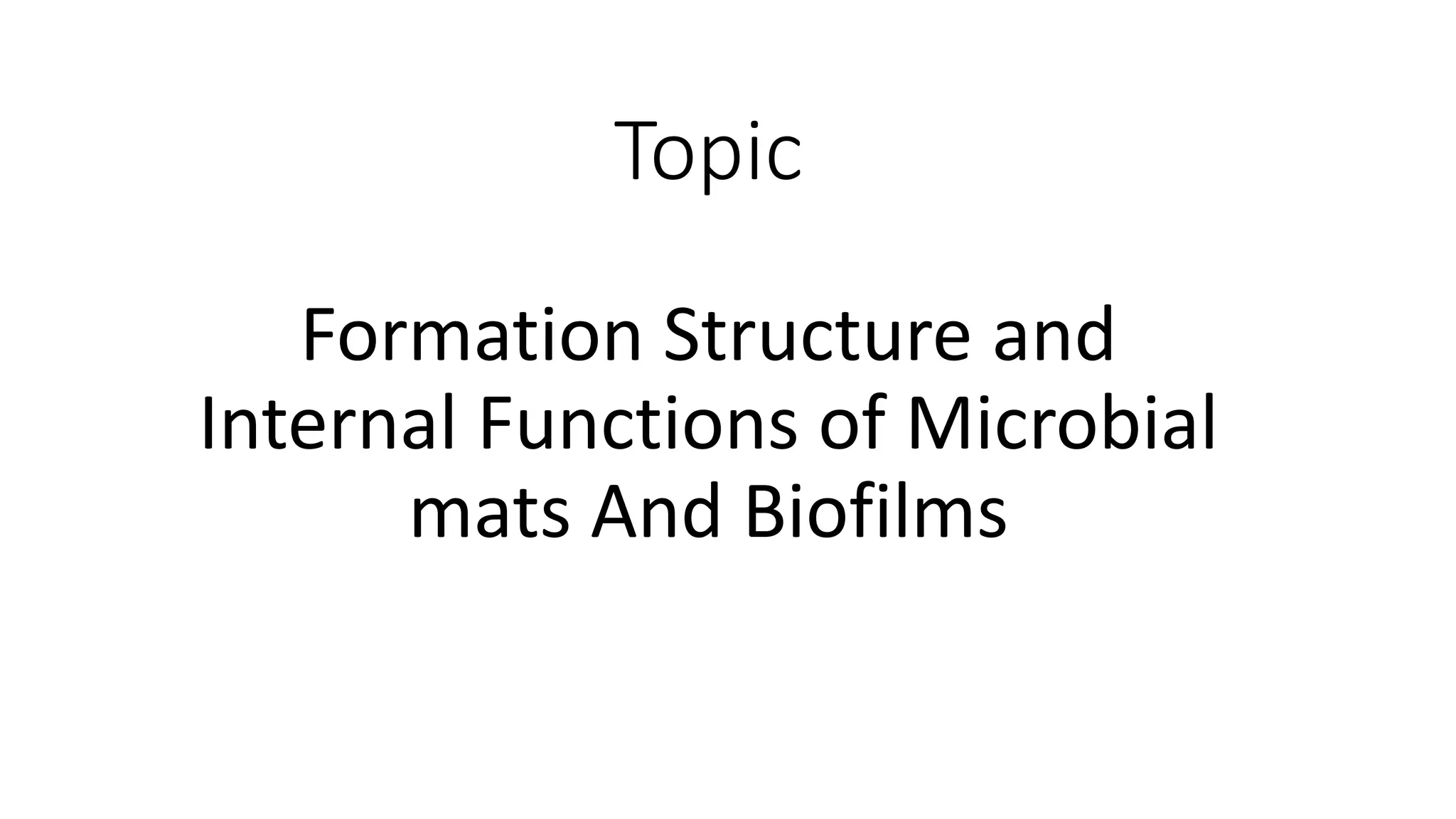 Formation Structure and Internal Functions of Microbial mats And