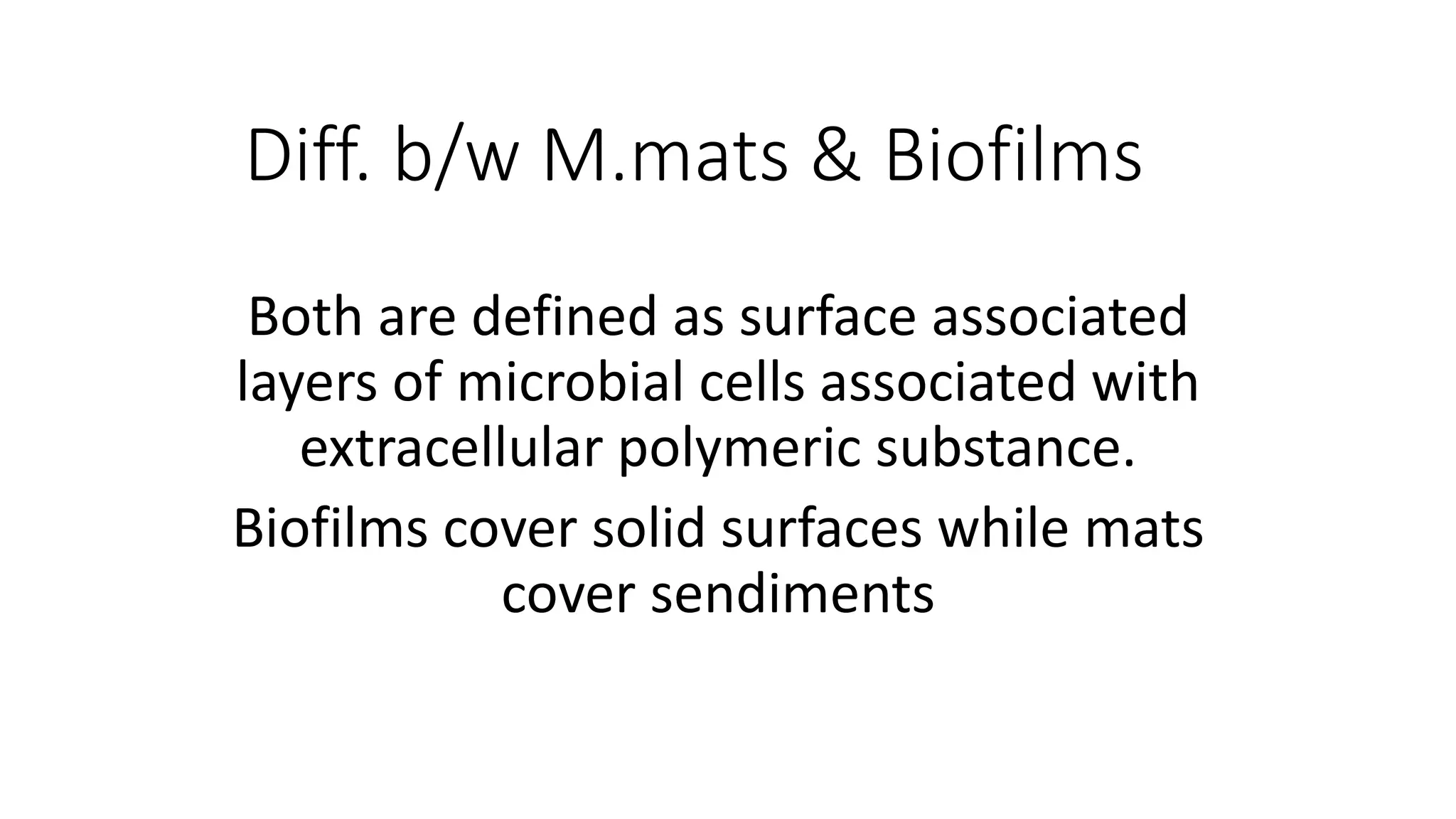 Formation Structure and Internal Functions of Microbial mats And