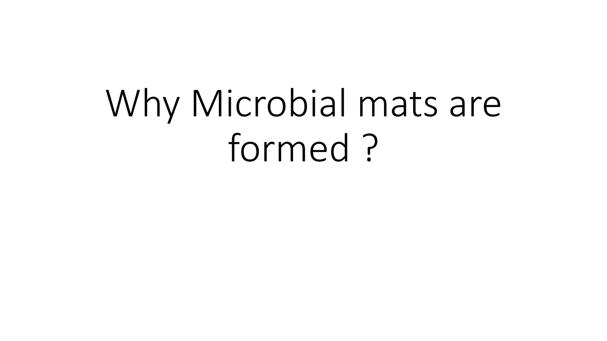 Formation Structure and Internal Functions of Microbial mats And